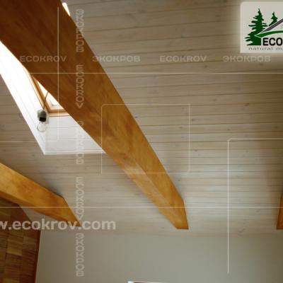 Schindel Martemianovo 02