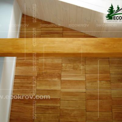 Schindel Martemianovo 03