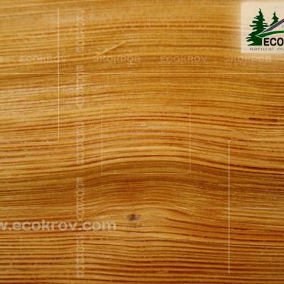 Schindel Martemianovo 04