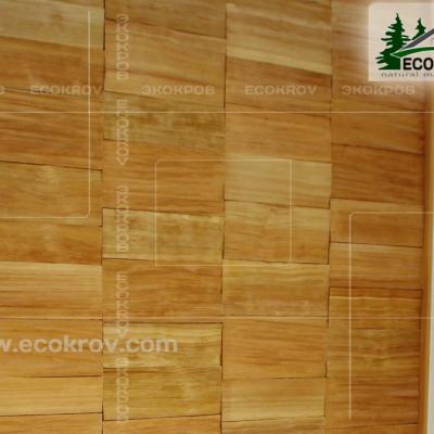 Schindel Martemianovo 05