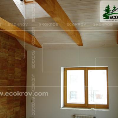 Schindel Martemianovo 07