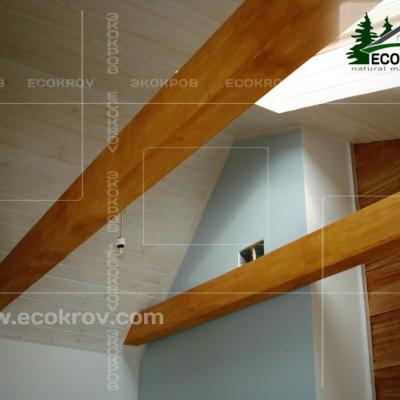 Schindel Martemianovo 08