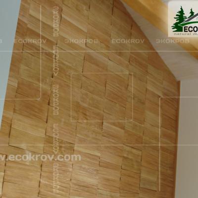 Schindel Martemianovo 09