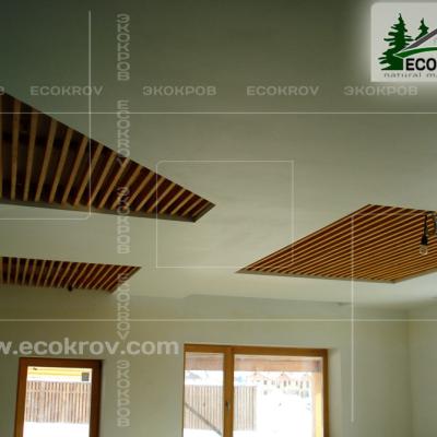 Schindel Martemianovo 10