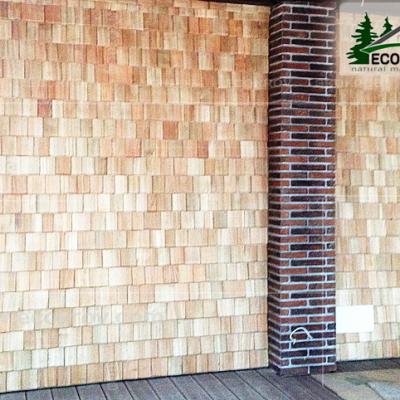 Fasad Schindeln Ruza 03