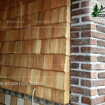 Fasad Schindeln Ruza 04