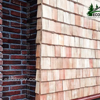 Fasad Schindeln Ruza 06