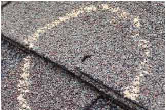 Повреждение сланцев